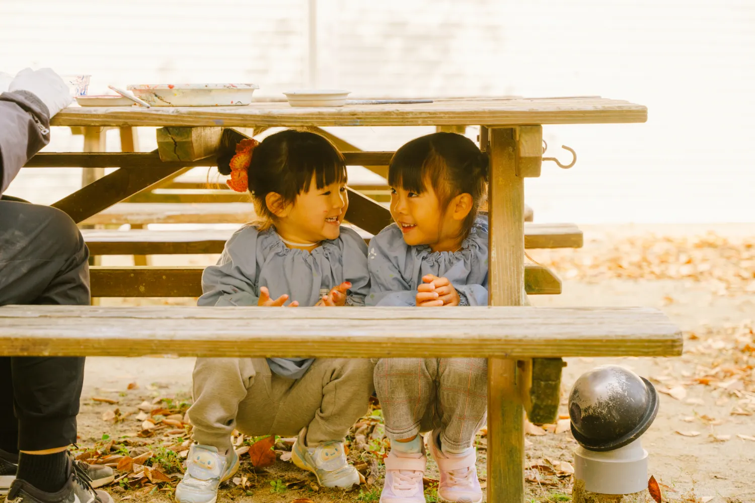 めぐみっ子ブログの写真