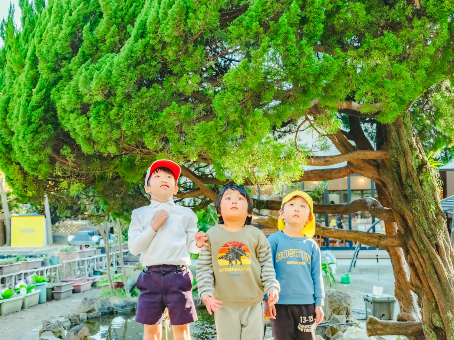 はじめにの画像