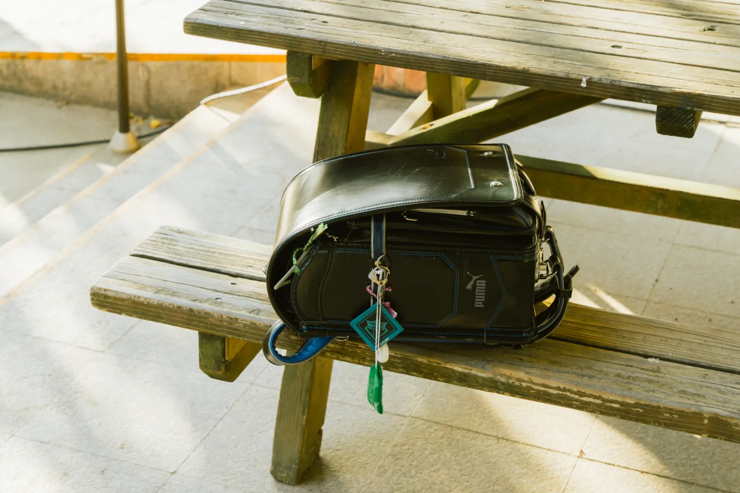 めぐみ楽園について