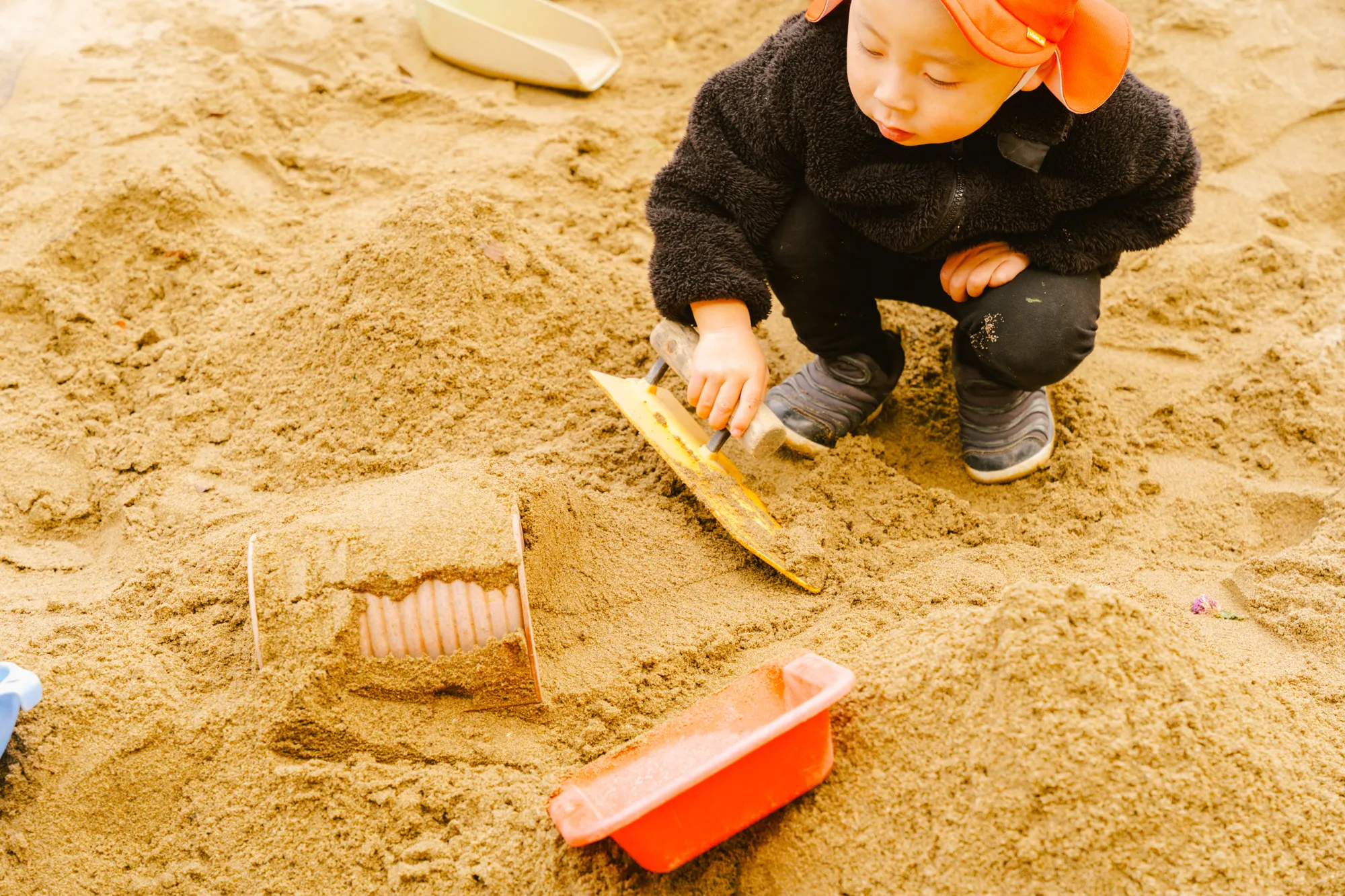 自然とふれあうの画像
