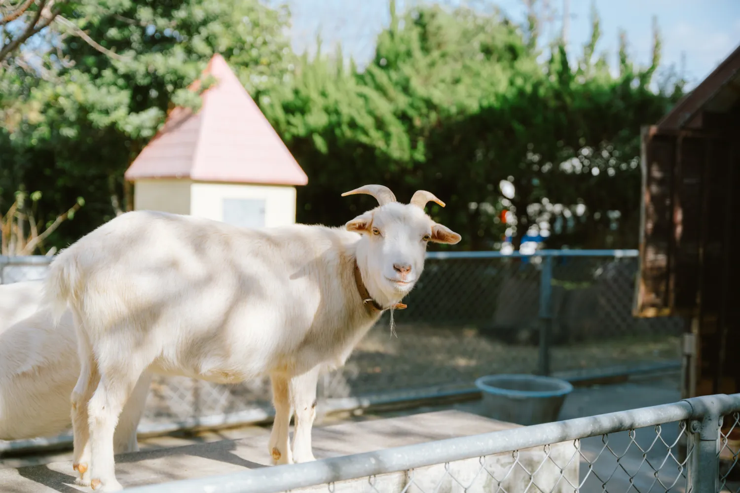 命の営みの画像